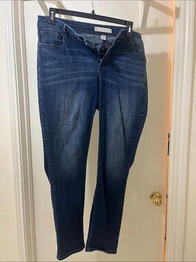Cato Women's Skinny Jeans in Dark Blue Wash